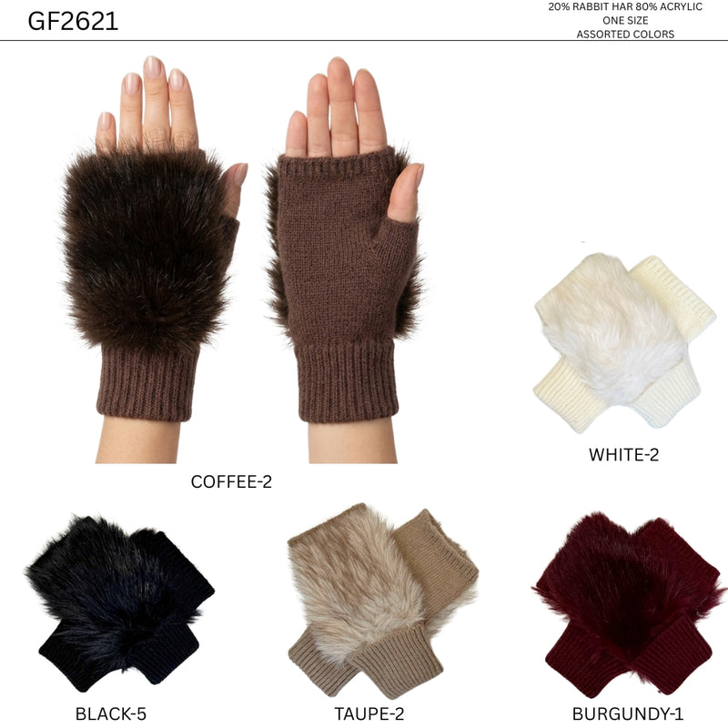 GF2621